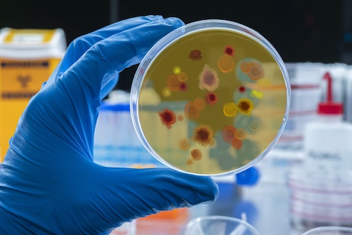 Antimicrobianos-destacada Antimicrobianos-destacada